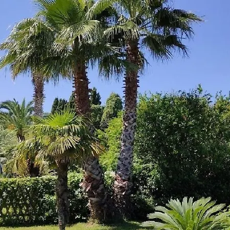 Feriehus 7 Bedrooms For 16 People In Languedoc Roussillon Argeliers